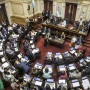 Duras críticas de los dirigentes políticos de Tucumán al Senado por el rechazo de Ficha Limpia