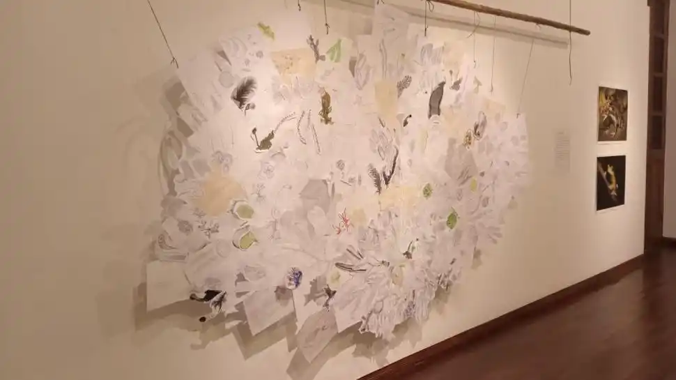 COLLAGE. En la primera sala, da cuenta de ilustraciones botánicas.