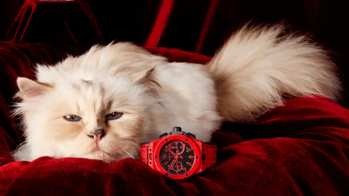 Choupette para la campaña de relojes de Hublot.