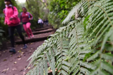 Guía para salir: ¿Qué hacer el sábado en Tucumán?