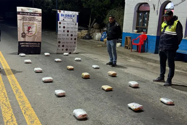 Llevaba 21 kilos de marihuana en la bodega del colectivo y fue detenido