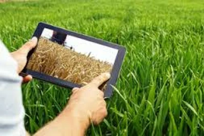 La Inteligencia Artificial puede reemplazar los ensayos a campo