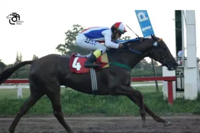 He’s a Rockstar buscará volver a la senda del éxito en el turf local