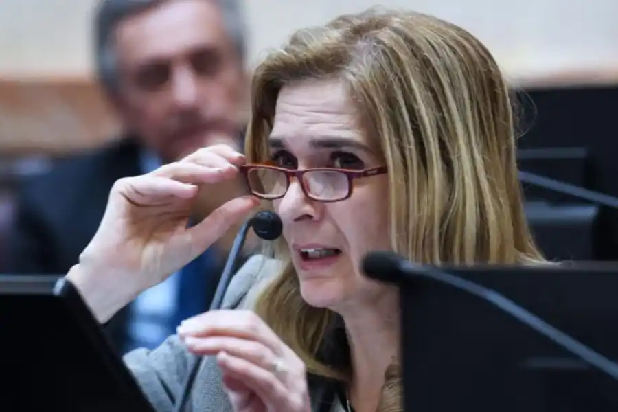 La legisladora Silvia Elías de Pérez