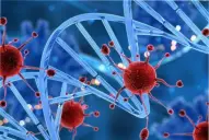 Resolvieron uno de los grandes misterios sobre el cáncer y podría ayudar a su prevención