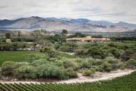 Escondida en el norte argentino: ¿dónde está la bodega más antigua y singular de la Argentina?
