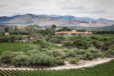 Escondida en el norte argentino: ¿dónde queda la bodega más antigua y singular de la Argentina?