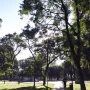 El tiempo en Tucumán: el cielo amaneció despejado y anuncian otro día caluroso