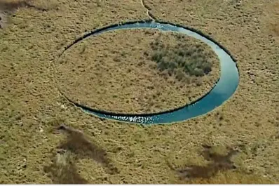 Descubrí la misteriosa isla que intriga al mundo: un círculo perfecto en medio del pantano