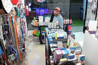 Robó en una veterinaria haciéndose pasar por cliente y terminó preso
