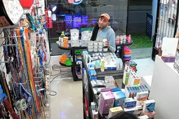 Robó en una veterinaria haciéndose pasar por cliente y terminó preso