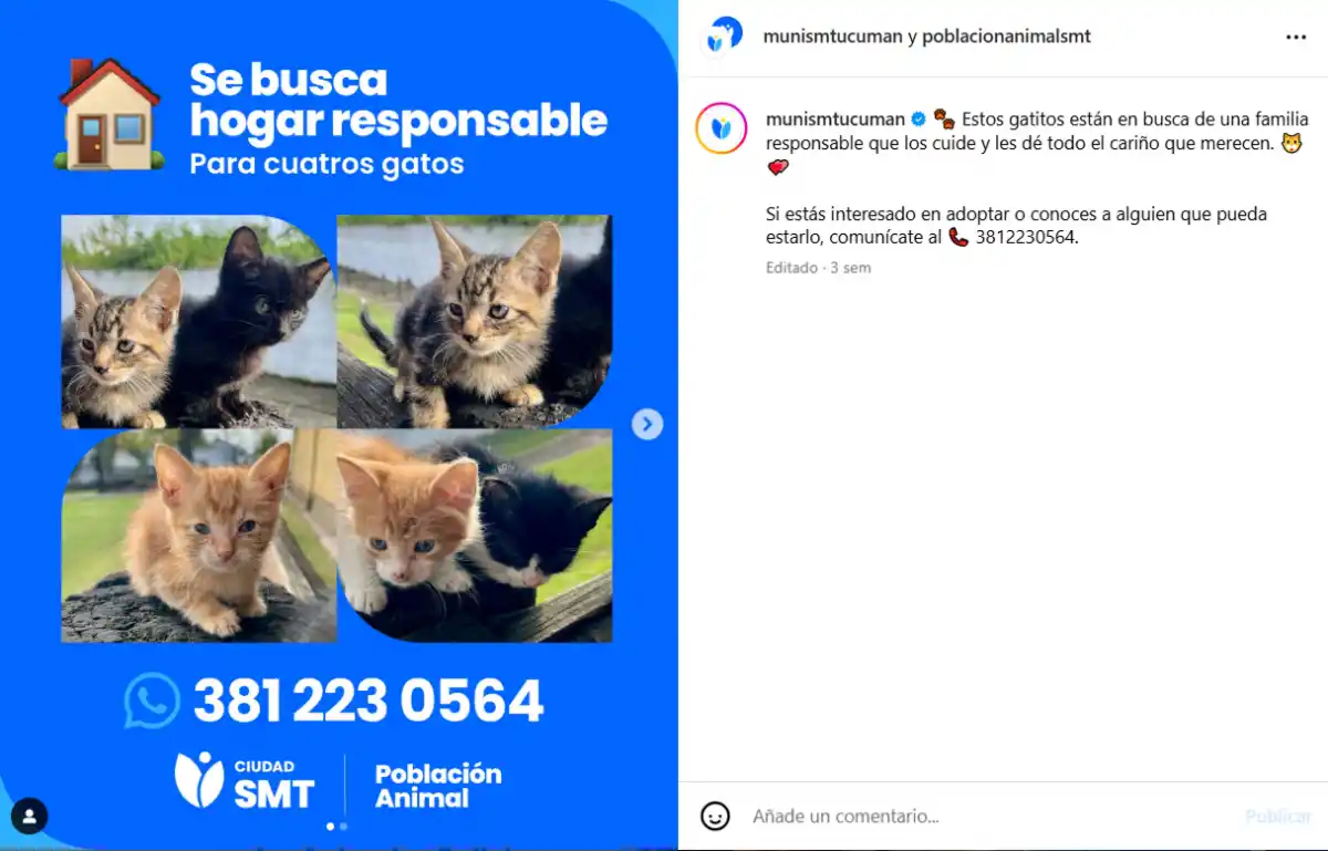La Dirección de Población Animal también tiene un programa de adopciones.