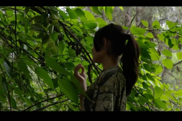 La cosecha de limón en Alpachiri, llevada a la gran pantalla