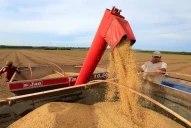 Retenciones: uno por uno, los productos alcanzados y las nuevas alícuotas que anunció Javier Milei