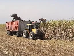 Bajar un 1,5% las pérdidas de cosecha ahorra $ 44.000 / ha