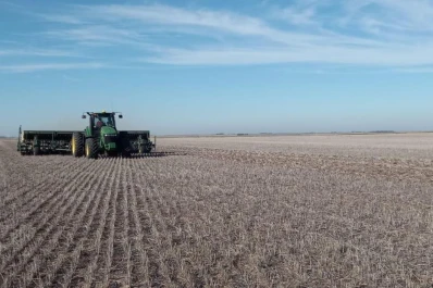 Se prepara la siembra de trigo y garbanzo