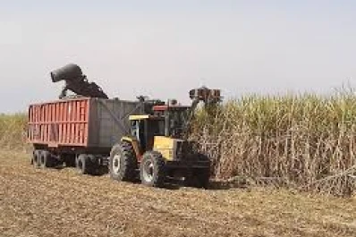 Bajar un 1,5% las pérdidas de cosecha ahorra $ 44.000 / ha