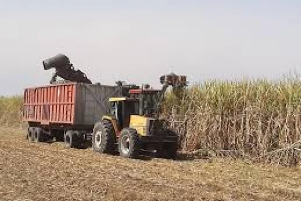 Bajar un 1,5% las pérdidas de cosecha ahorra $ 44.000 / ha