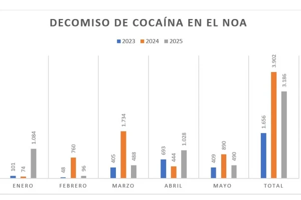 Lucha contra el narcotráfico: detalles sobre el “Operativo Roca”