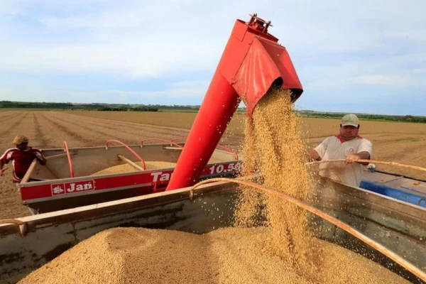 El campo, ante una de las mejores cosechas