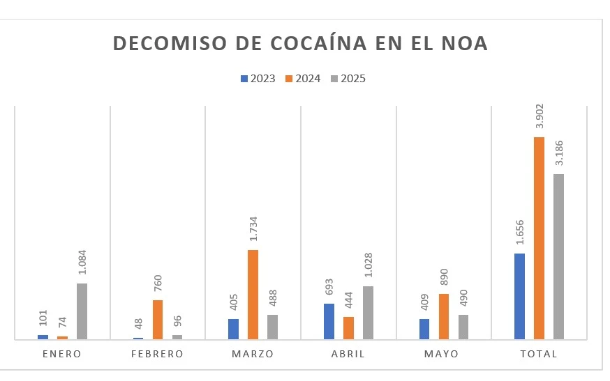 Lucha contra el narcotráfico: detalles sobre el “Operativo Roca”