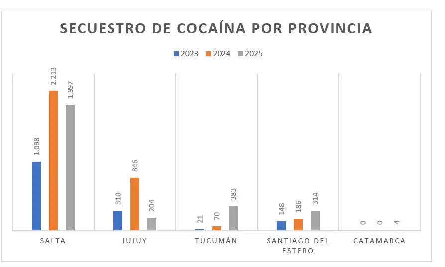 Lucha contra el narcotráfico: detalles sobre el “Operativo Roca”