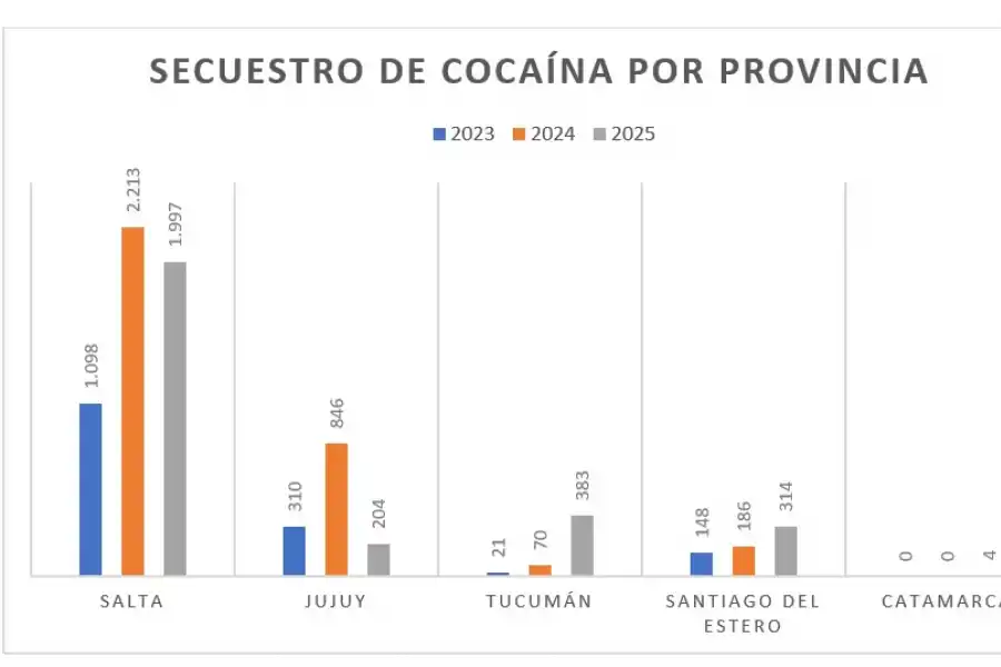 Lucha contra el narcotráfico: detalles sobre el “Operativo Roca”