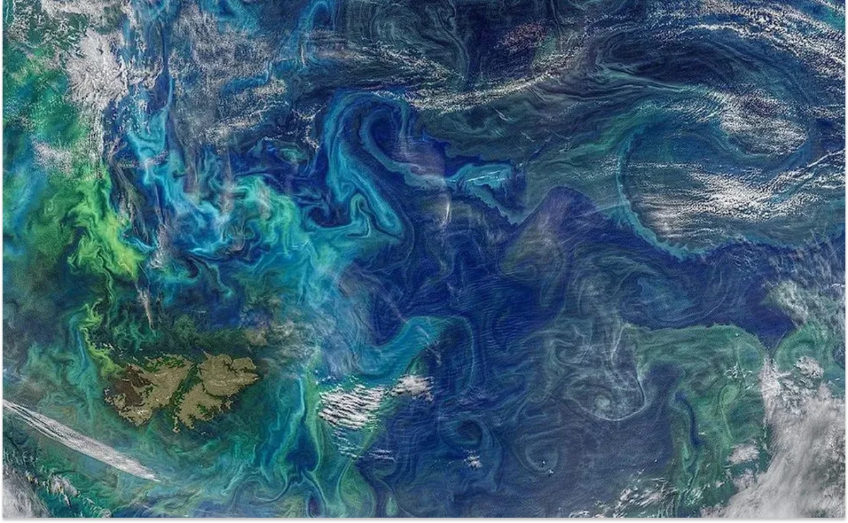 La NASA capturó una impactante imagen de las Islas Malvinas: ¿una nueva bandera argentina?