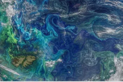 La NASA capturó una impactante imagen de las Islas Malvinas: ¿una nueva bandera argentina?