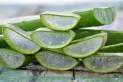 Una infusión fácil de aloe vera te puede ayudar a deshinchar el abdomen