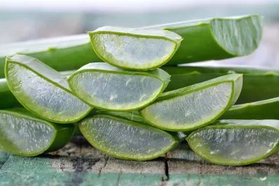 Una infusión fácil de aloe vera te puede ayudar a deshinchar el abdomen