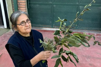 Fuga de amoníaco en Lules: Tuvimos que abandonar nuestras casas porque era difícil respirar