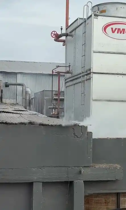 NUBLE BLANCA. Vecinos lograron captar con sus cámaras la pérdida.