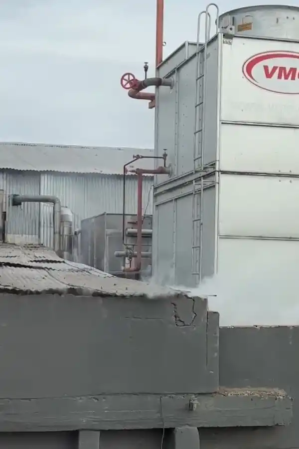 NUBLE BLANCA. Vecinos lograron captar con sus cámaras la pérdida.