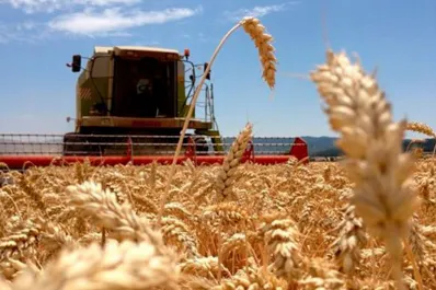 El Gobierno anunció que extenderá la rebaja de retenciones para el trigo y la cebada