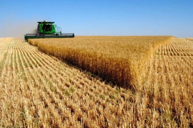 Se extiende hasta marzo la baja de las retenciones al trigo