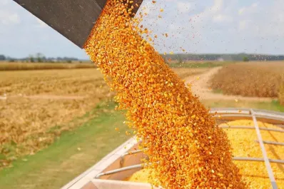 Retenciones: malestar en el Norte tras la prórroga de beneficios para trigo y cebada del gobierno de Milei