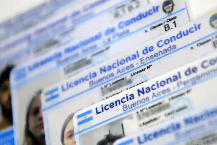 EN LA APLICACIÓN. La licencia digital está en la plataforma Mi Argentina.