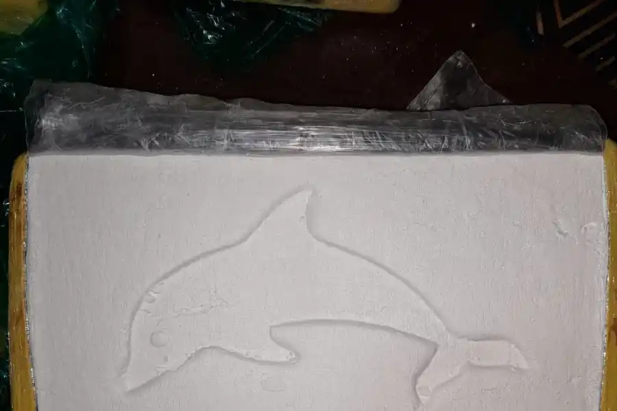 Secuestran 19 kilos de cocaína en un tour de compras que viajaba a Córdoba