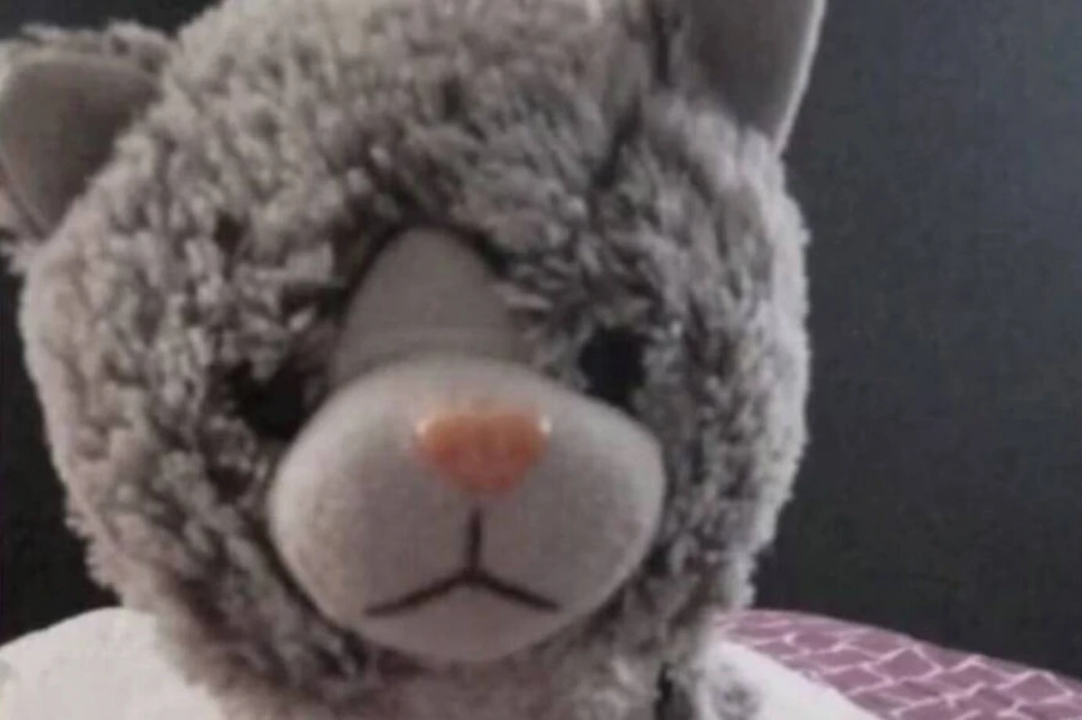 Un niño con autismo perdió su peluche de apego y extorsionaron a su familia: pagaron $200.000 de rescate