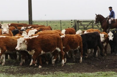 El Gobierno nacional declaró la emergencia agropecuaria para Río Negro, Entre Ríos y Buenos Aires