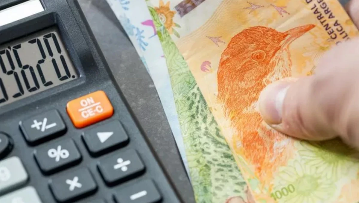 Carga fiscal: ¿Cuántos impuestos hay en la Argentina?