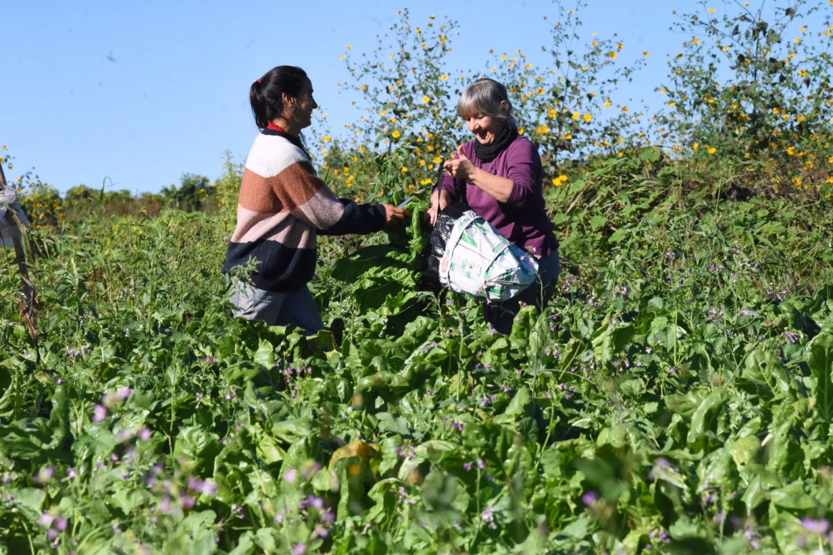 MANOS TRABAJADORAS. Madre e hija cultivan en la finca. LA GACETA/ Fotos de Analía Jaramillo.