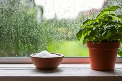 ¿Para qué sirve poner sal en la ventana durante el invierno?