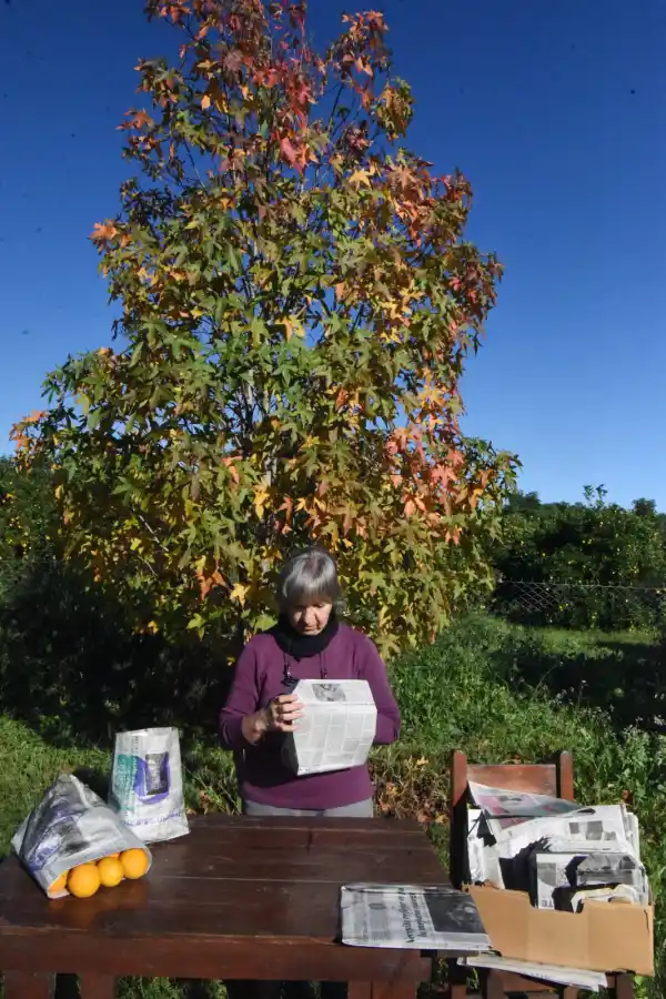 LA GACETA PRESENTE. Con papel del diario y cinta, Alicia prepara las bolsitas en las que luego entregan sus cultivos. LA GACETA/ Foto de Analía Jaramillo.