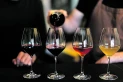 “De la uva a la copa”: llega a Tucumán una expo de vinos