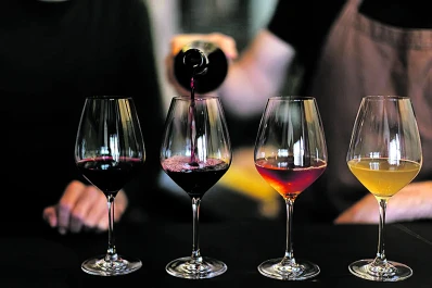 “De la uva a la copa”: llega a Tucumán una expo de vinos