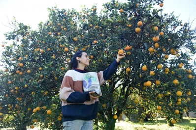 Una finca apuesta por productos sin veneno y bolsas sin plástico