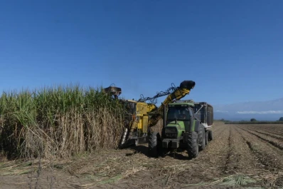 Tres hombres fueron acusados de cometer estafas por más de $136 millones en Concepción