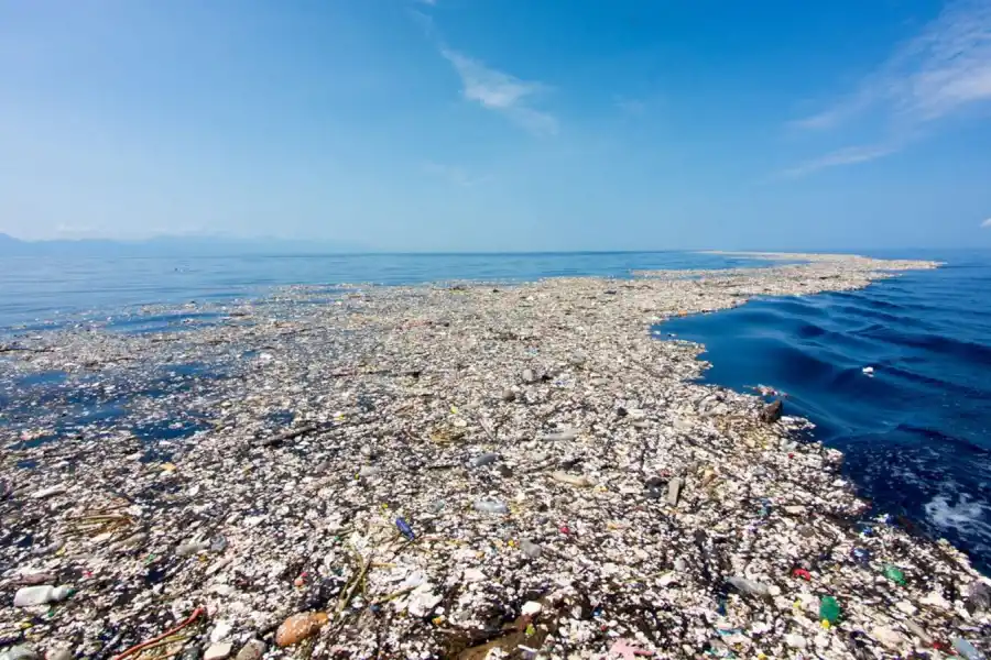 En el Pacífico, una enorme acumulación de plástico tiene el tamaño de un continente